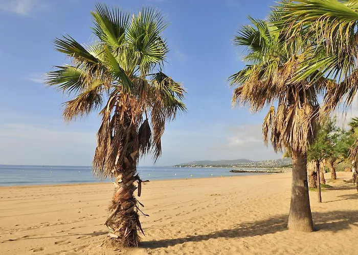 Otel Mileade Mediterranee - Port-frejus Fréjus